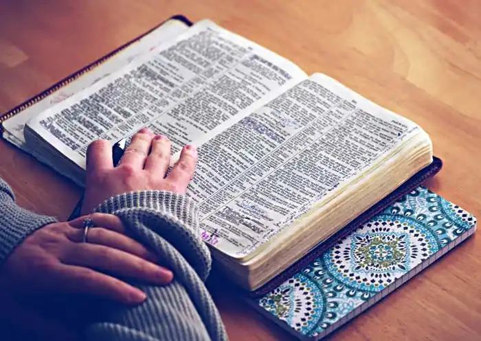 Die Bibel studieren
