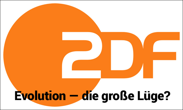 Evolution: Stil statt Substanz